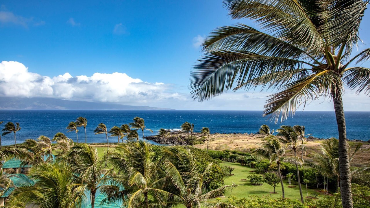Photo of Others in Napili