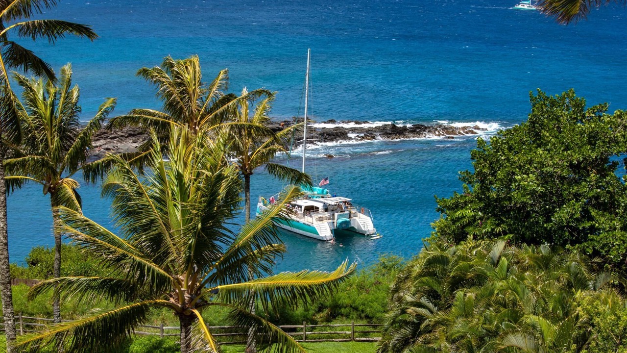 Photo of Others in Napili