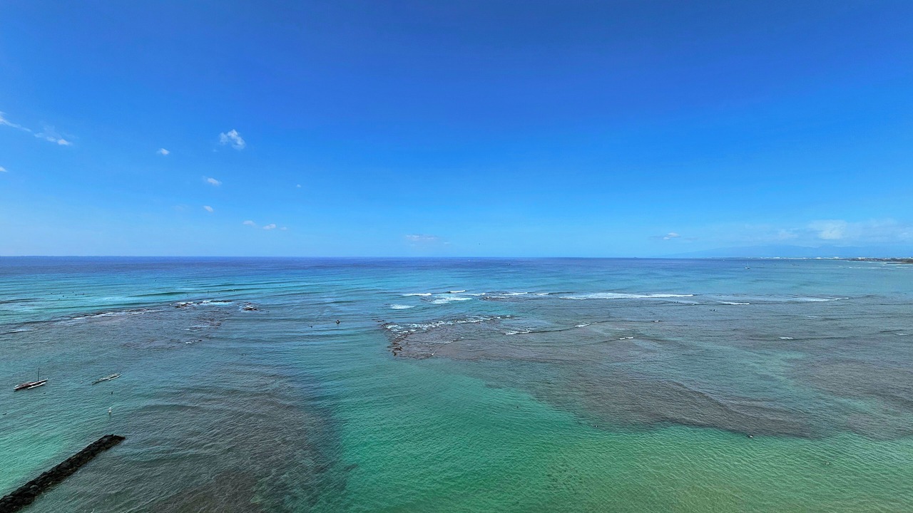 Photo of Others in Honolulu