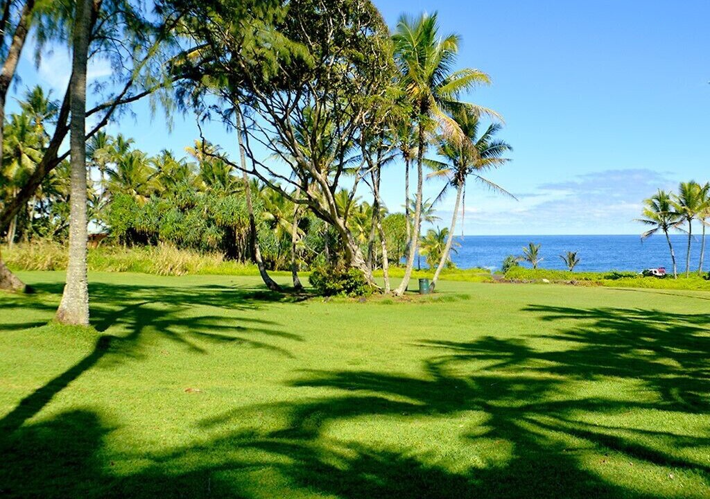 Photo of Others in Kapoho
