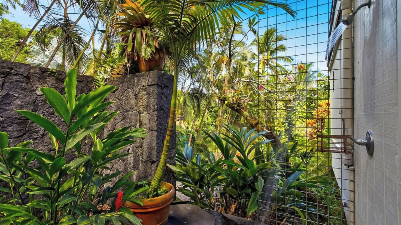Photo of Outdoor in Kapoho