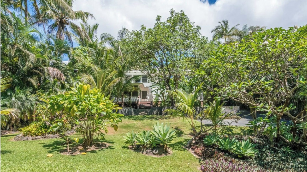 Photo of Outdoor in Kapoho