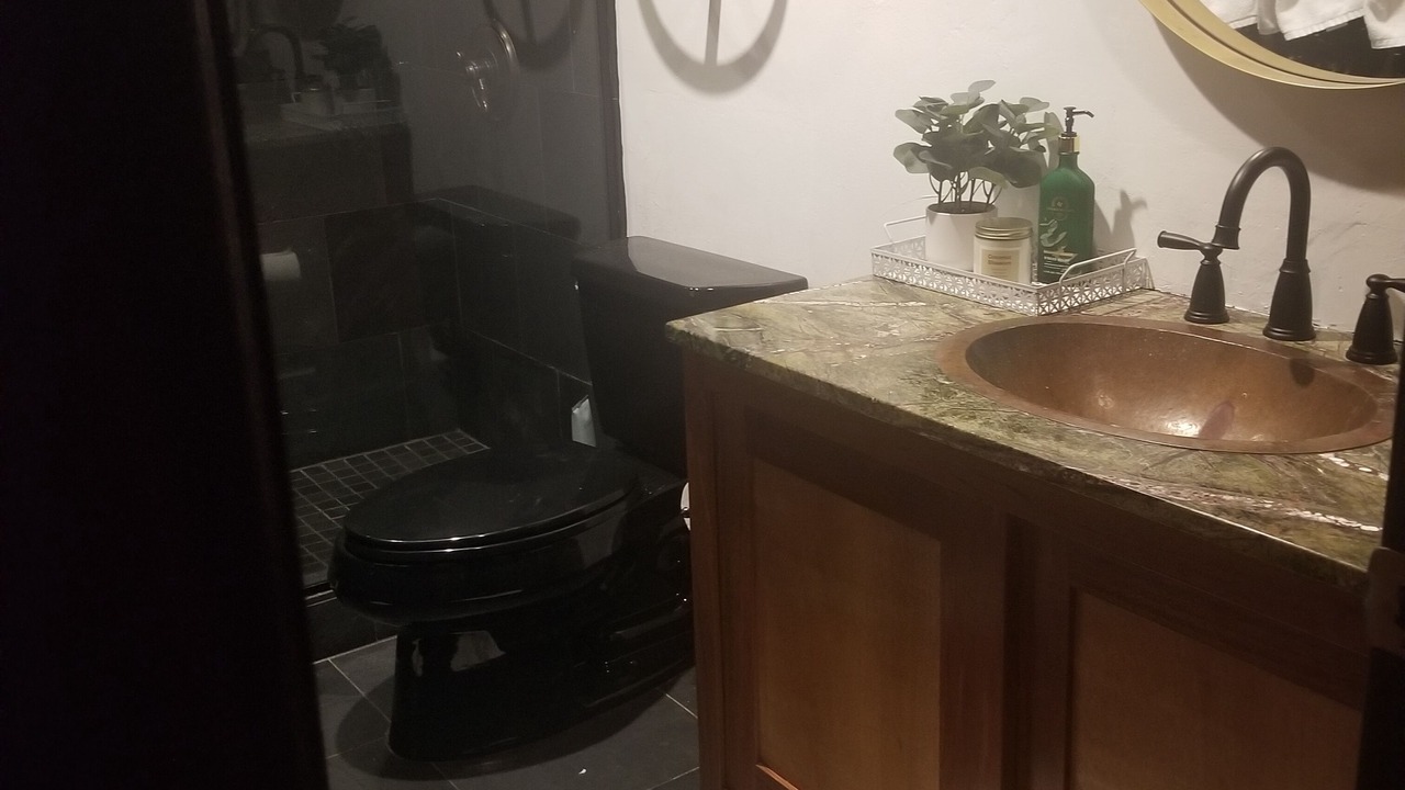 Photo of Bathroom in Kapoho