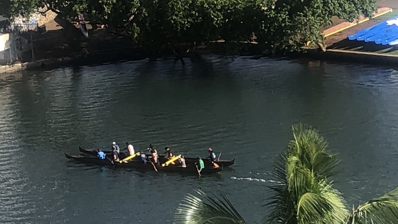 Photo of Outdoor in McCully - Moiliili