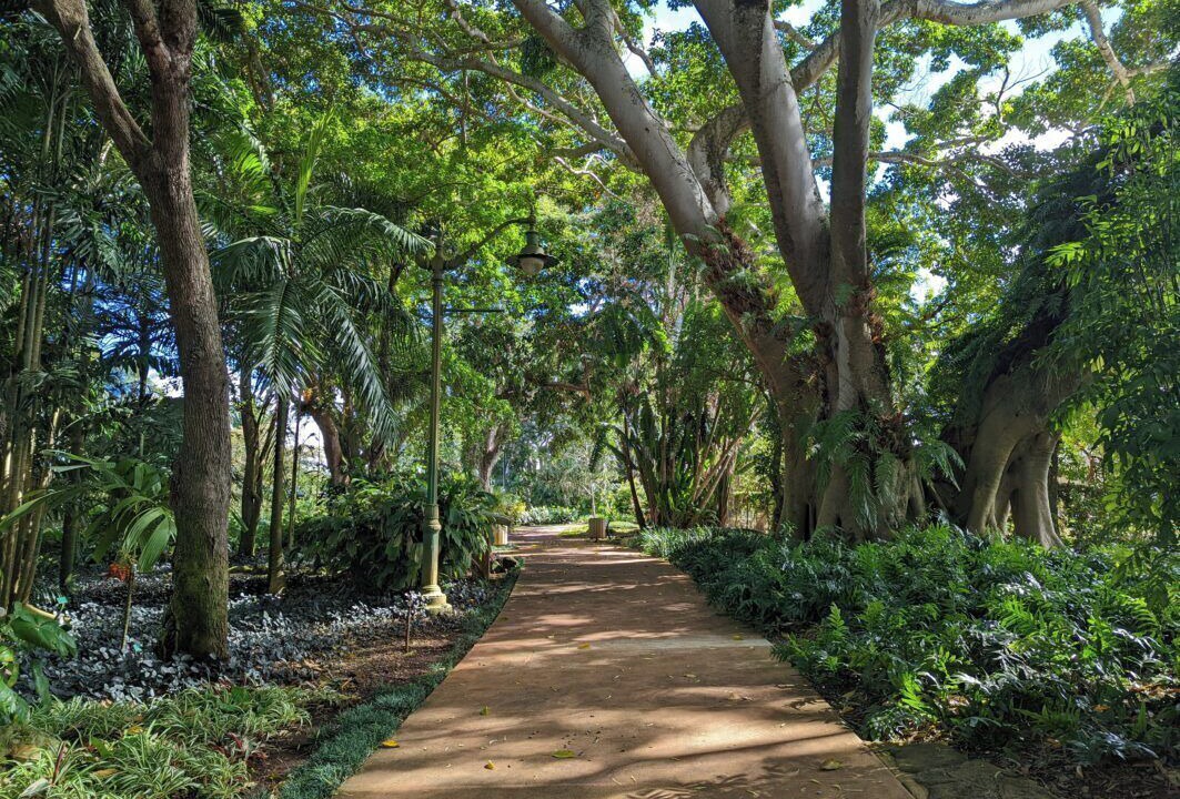 Photo of Outdoor in Wahiawa