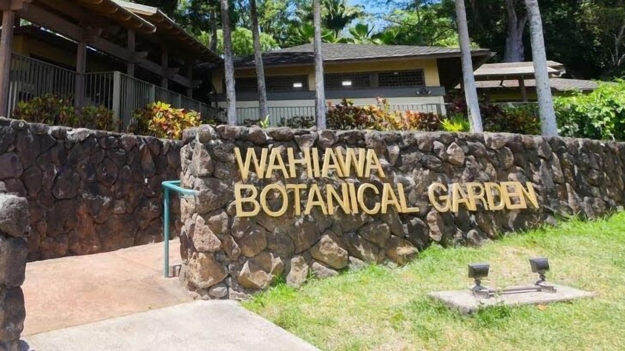 Photo of Outdoor in Wahiawa