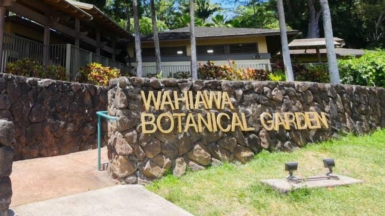 Photo of Outdoor in Wahiawa