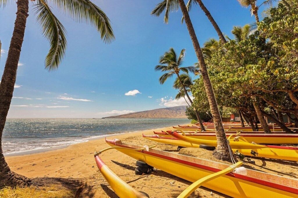 Photo of Others in Kihei