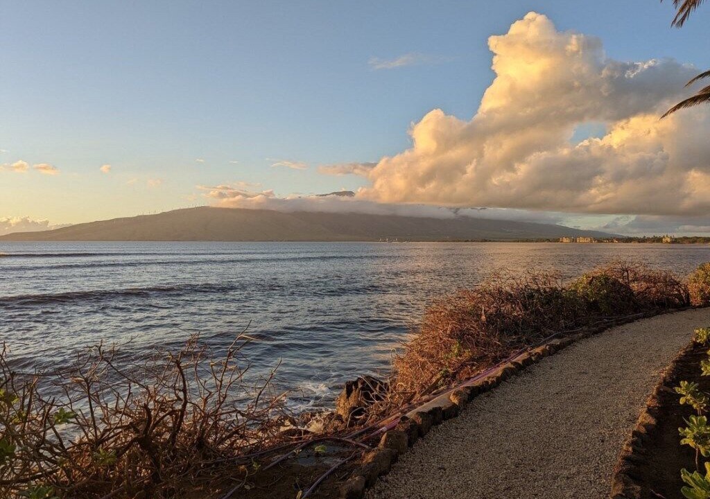 Photo of Others in Kihei