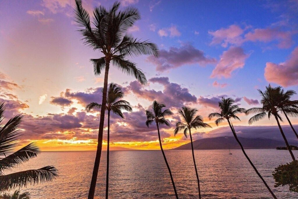 Photo of Others in Kihei