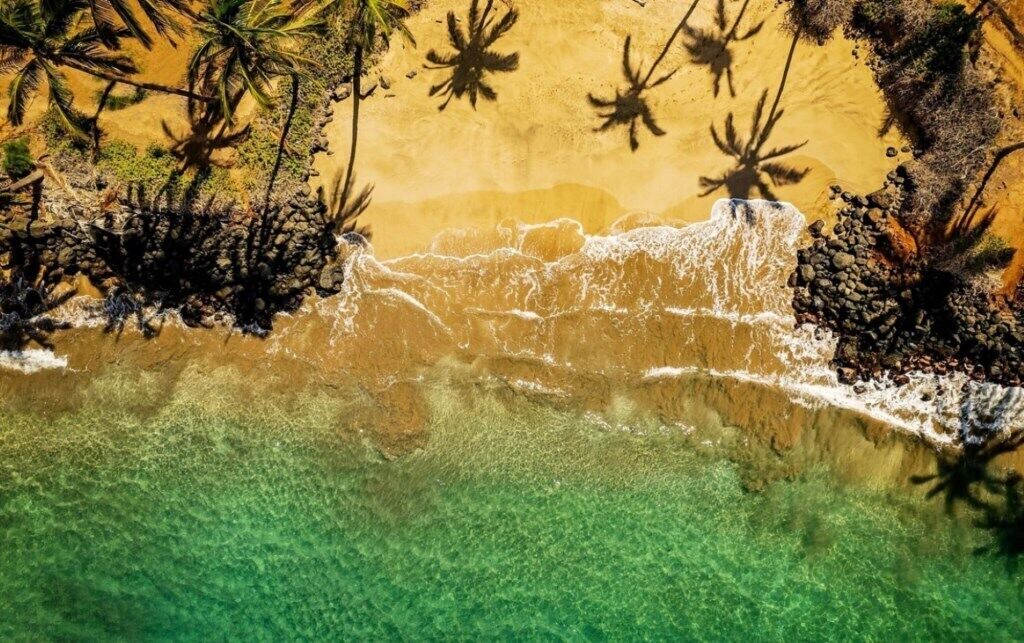 Photo of Others in Kihei