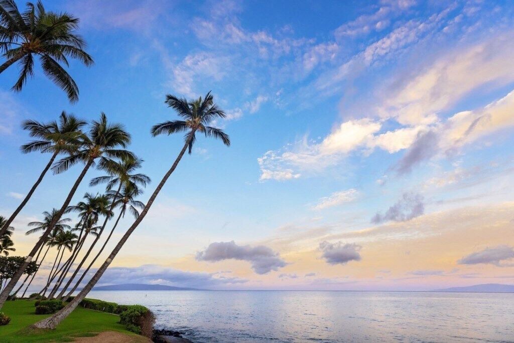 Photo of Others in Kihei