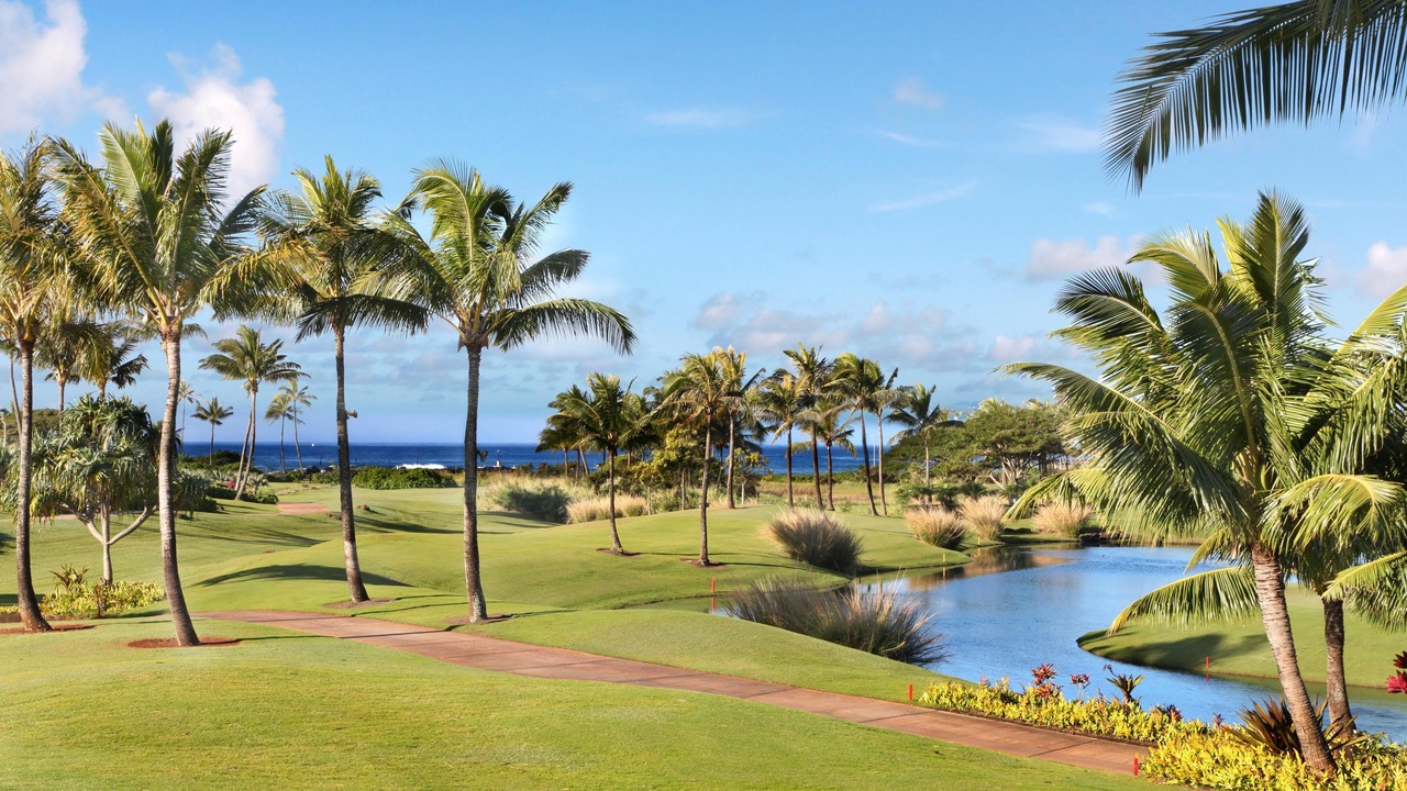 Photo of Others in Poipu