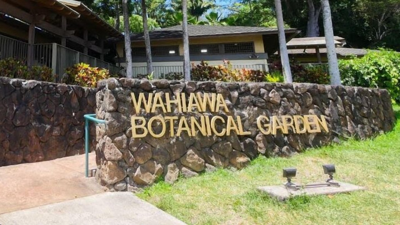Photo of Outdoor in Wahiawa