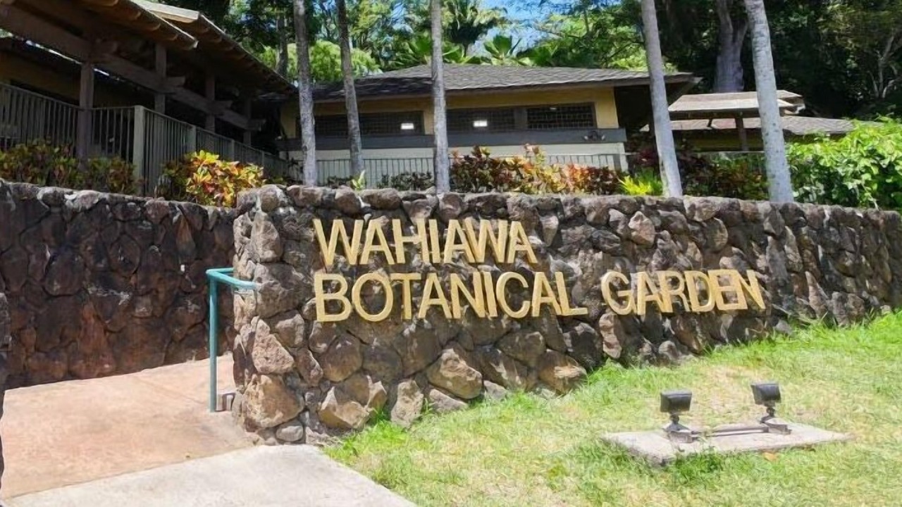Photo of Outdoor in Wahiawa