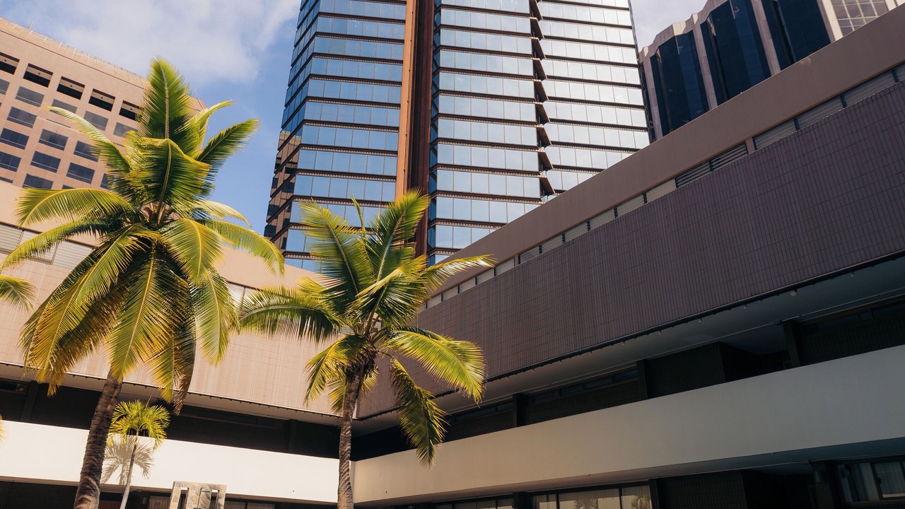 Photo of Outdoor in Downtown Honolulu