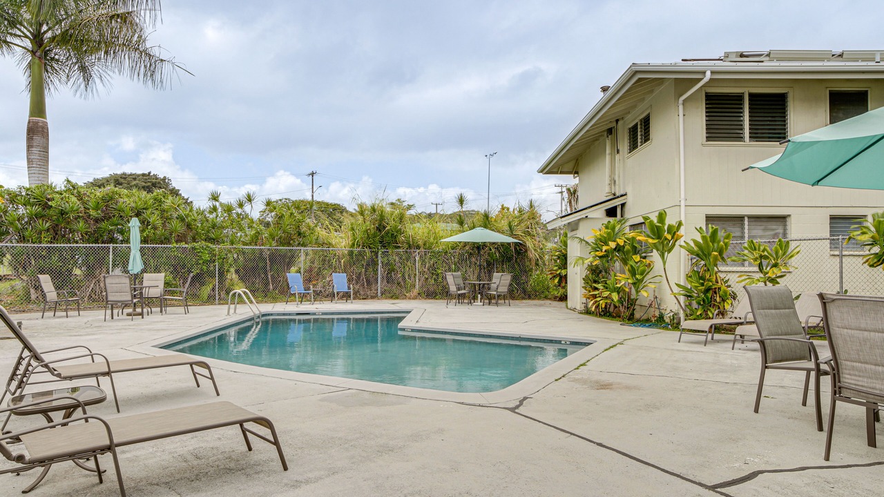 Photo of Others in Hilo