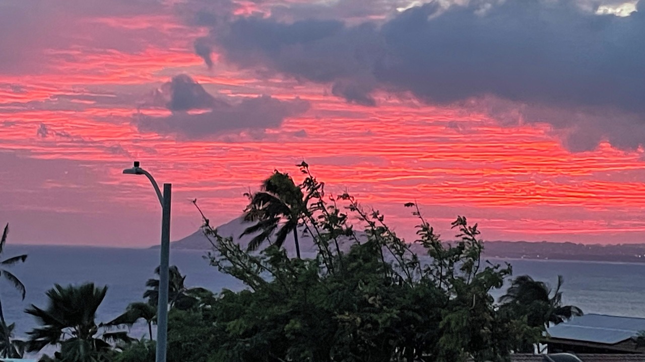 Photo of Others in Honolulu