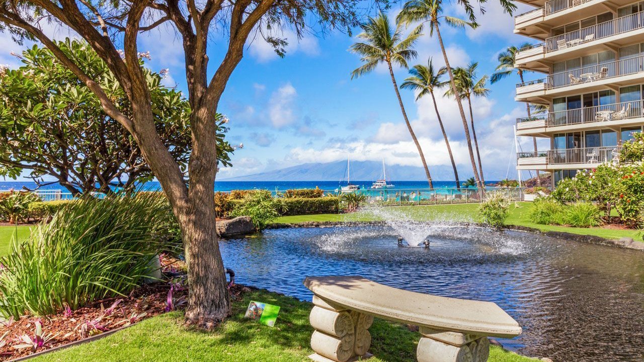 Photo of Others in Kaanapali