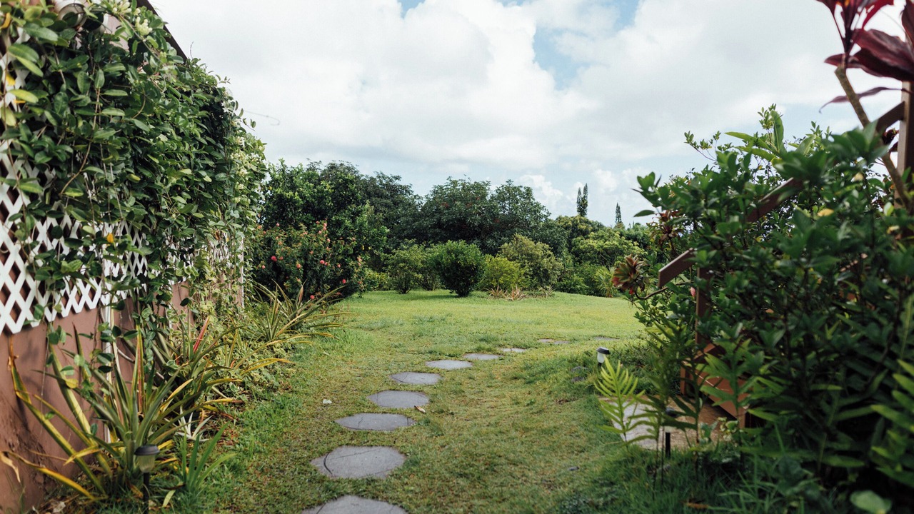 Photo of Outdoor in Hana