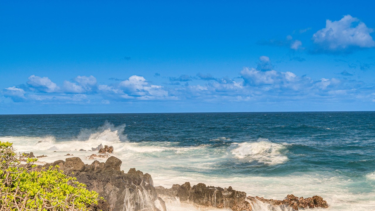 Photo of Others in Kapoho