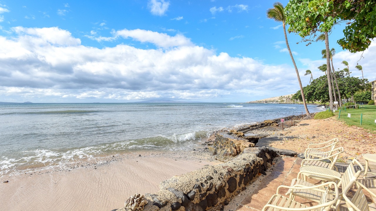 Photo of Others in Maalaea