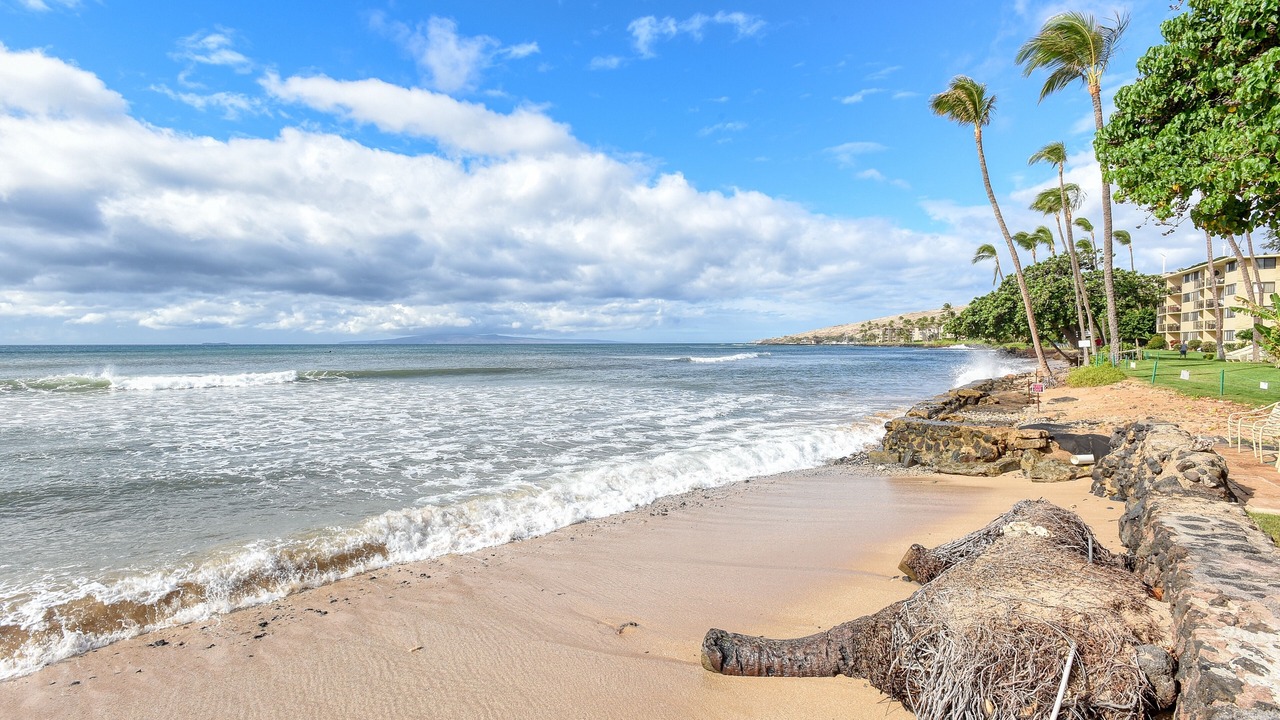 Photo of Others in Maalaea