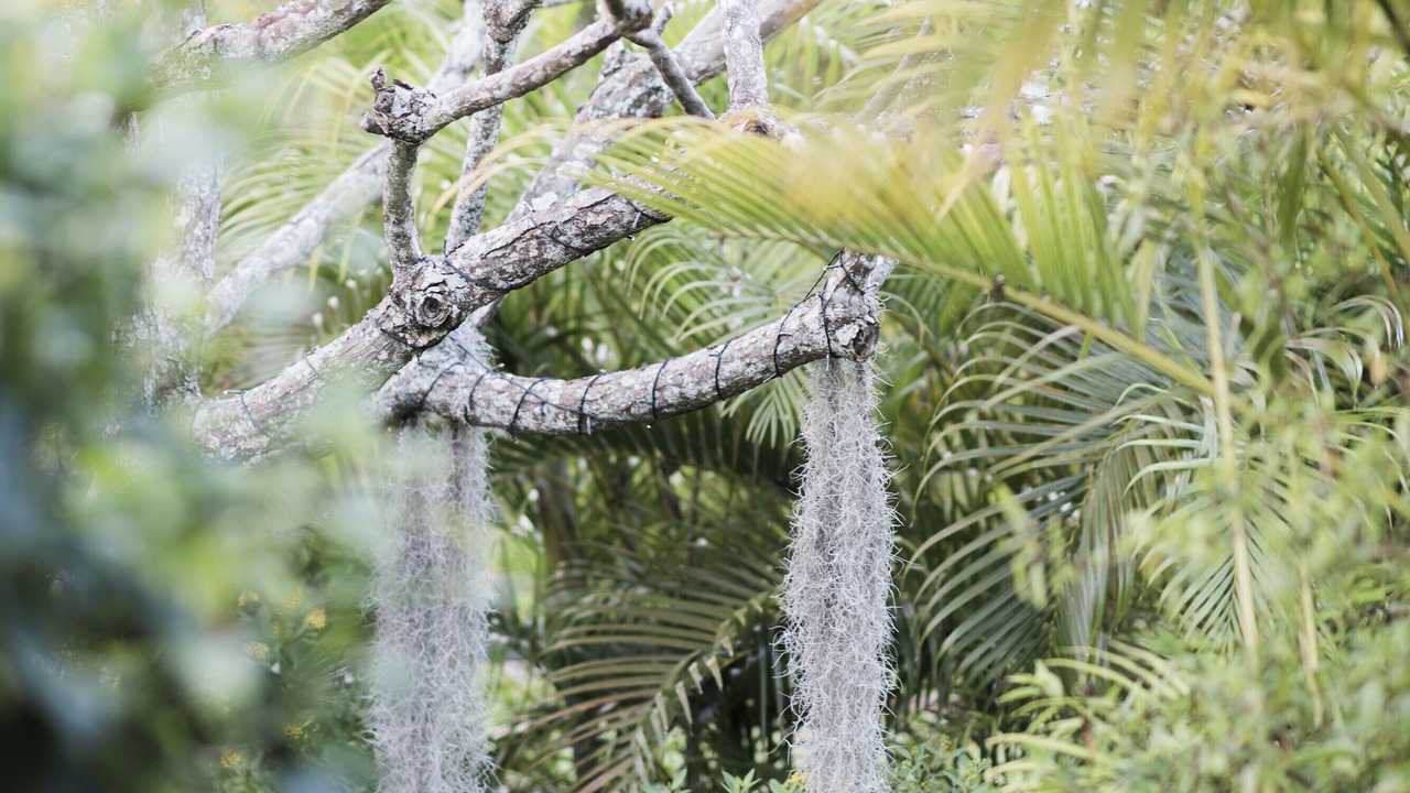 Photo of Outdoor in Kailua