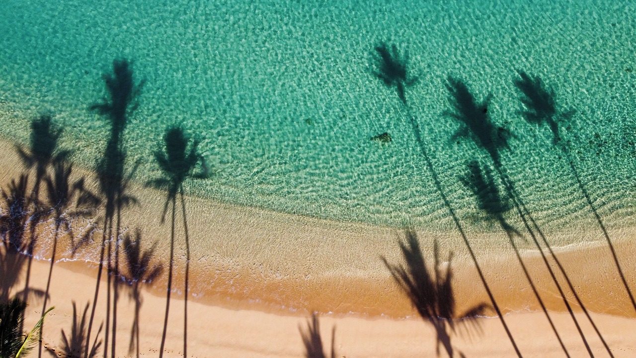 Photo of Others in Kapalua