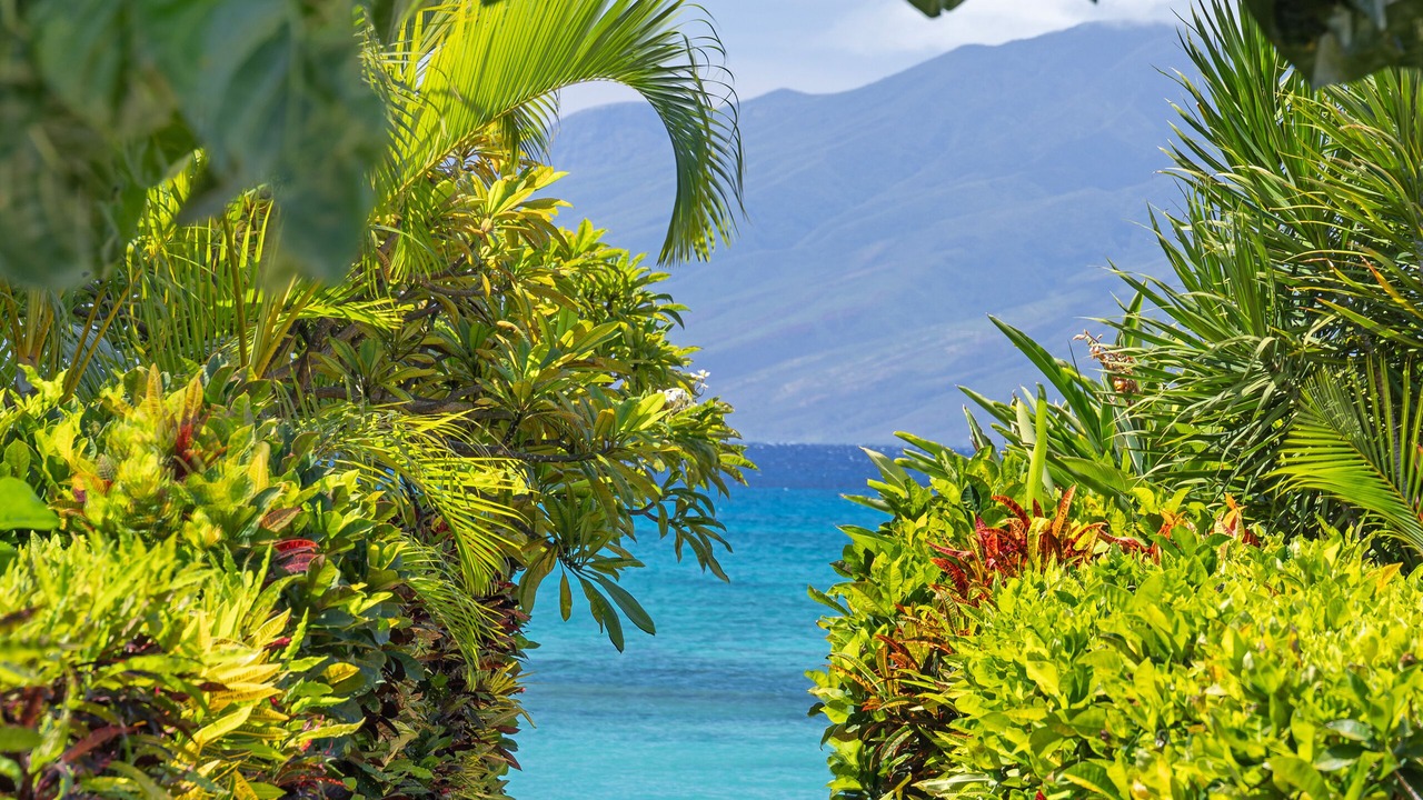 Photo of Others in Kapalua