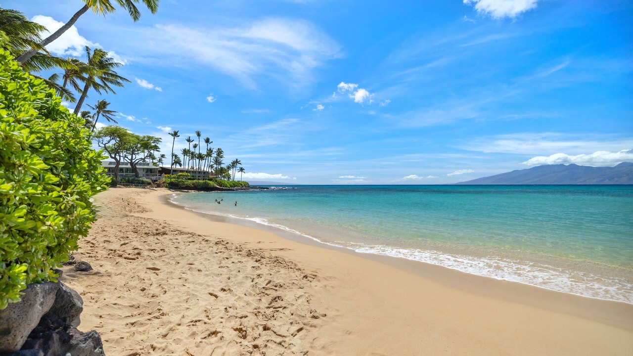 Photo of Others in Kapalua