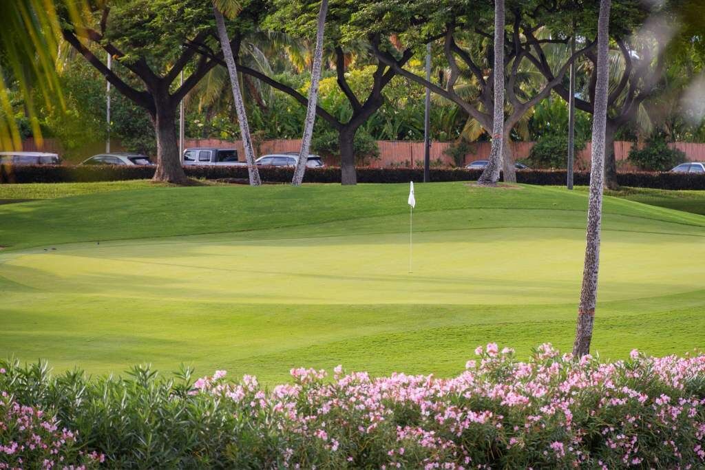 Photo of Others in Ko Olina