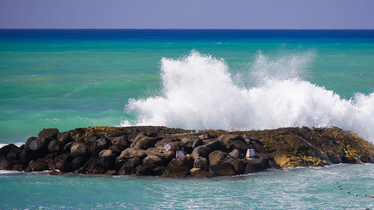 Photo of Others in Ko Olina