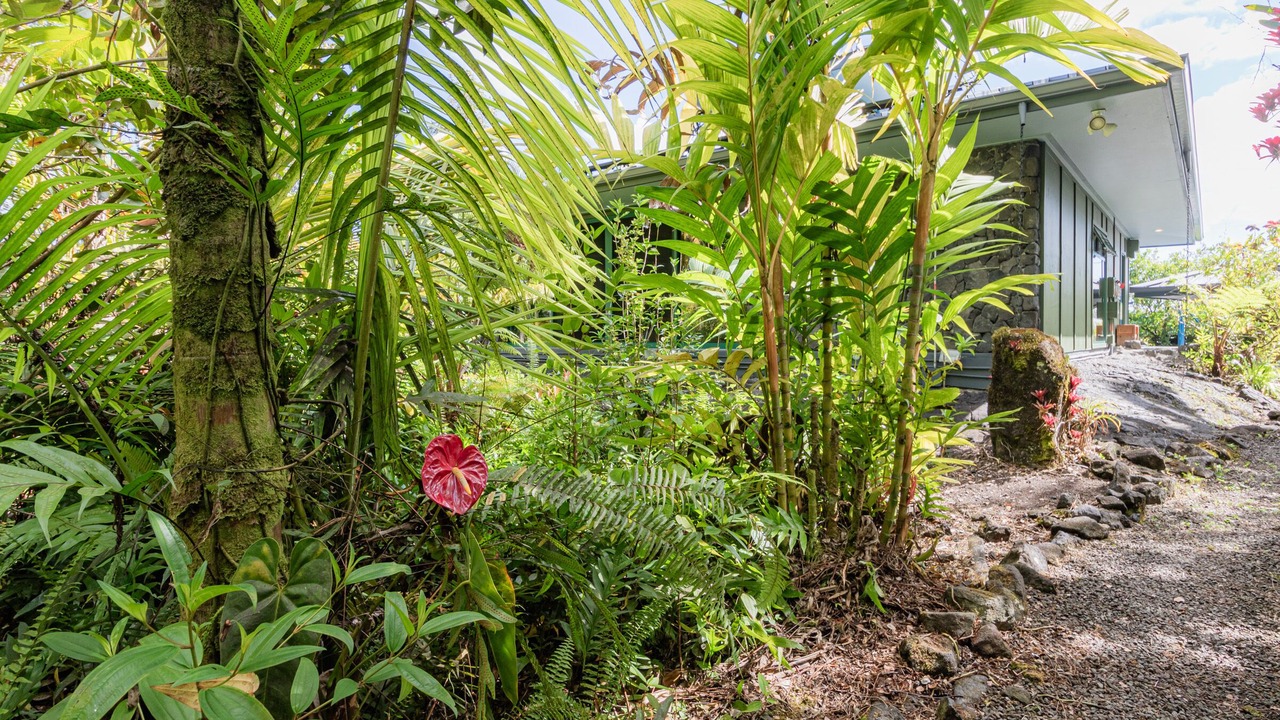 Photo of Outdoor in Hilo