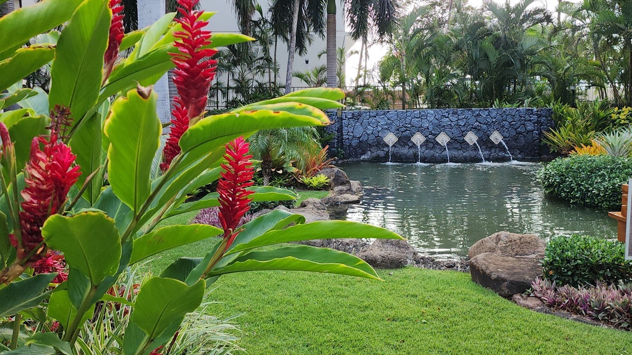 Photo of Others in Waikiki