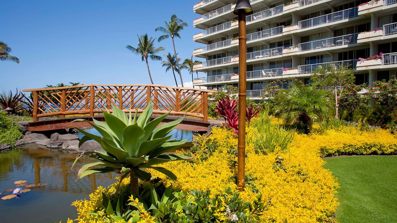 Photo of Outdoor in Kaanapali
