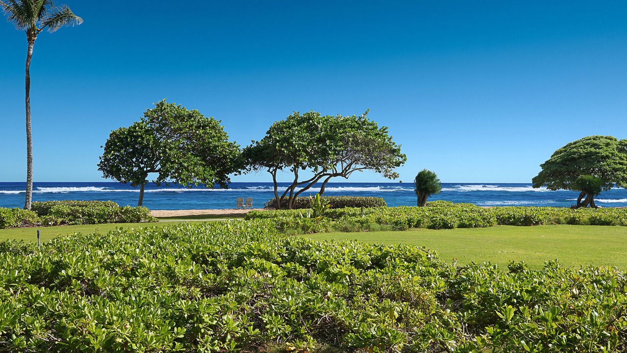 Photo of Others in Wailua