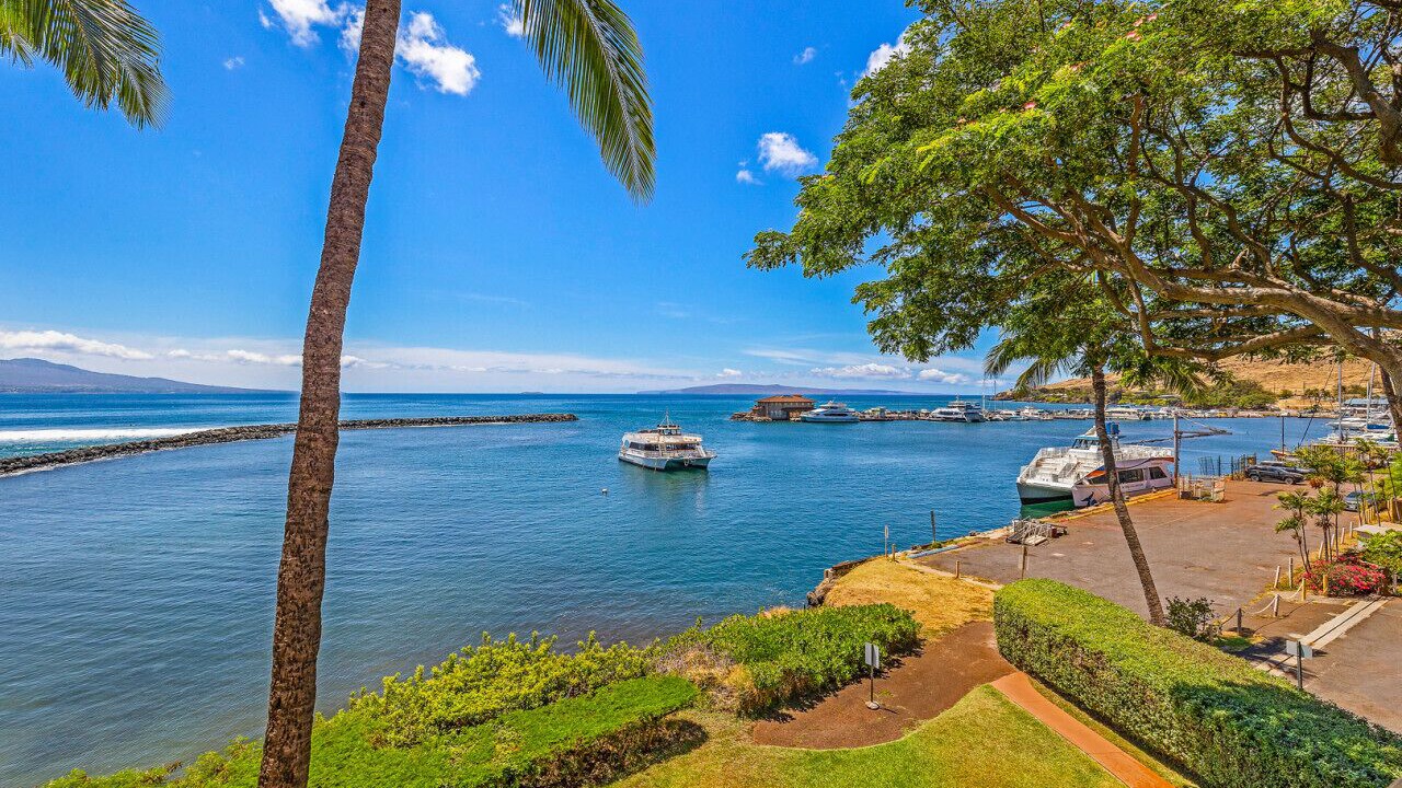 Photo of Others in Maalaea