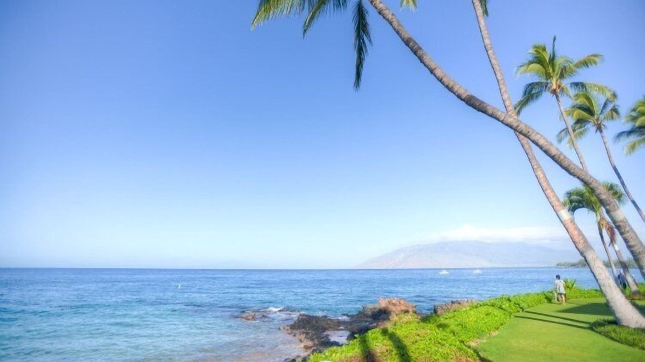 Photo of Others in Kihei
