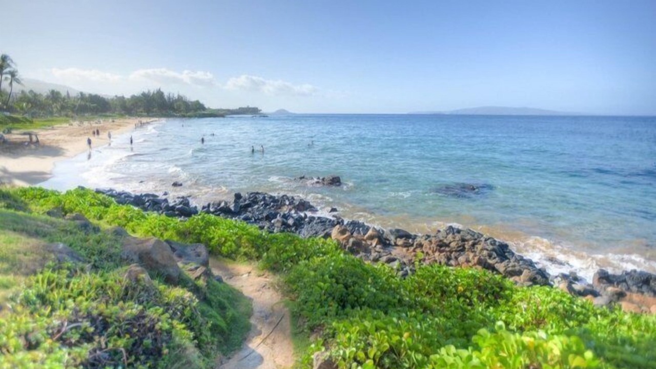 Photo of Others in Kihei