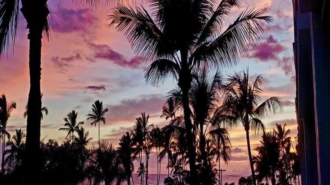 Photo of Others in Kihei
