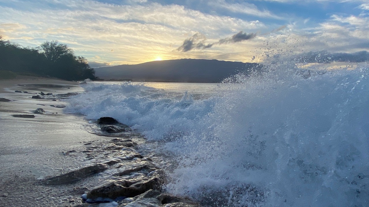 Photo of Others in Maalaea