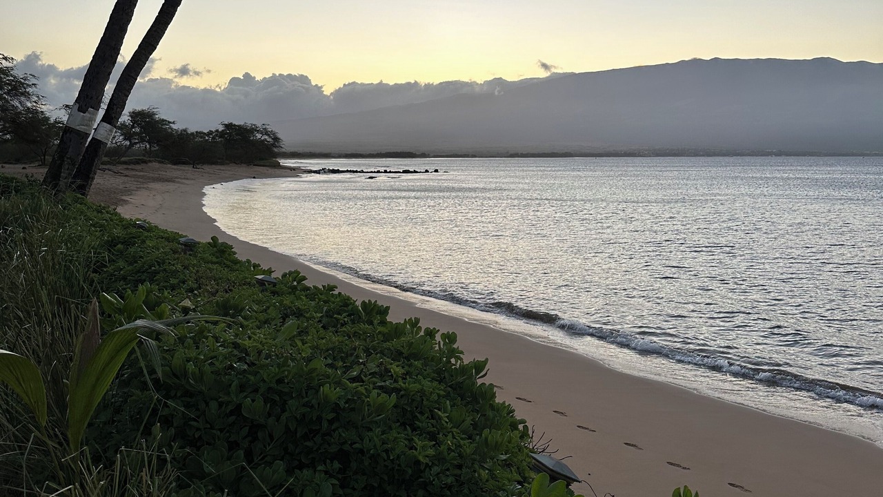Photo of Others in Maalaea