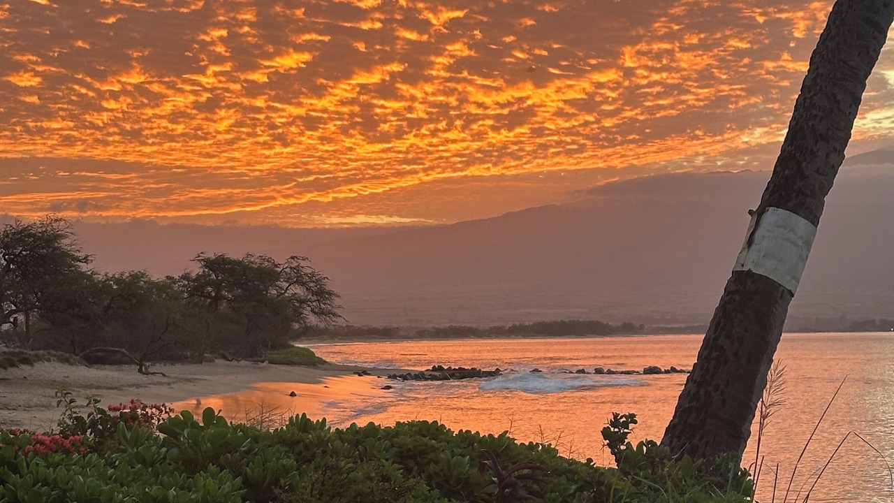 Photo of Others in Maalaea