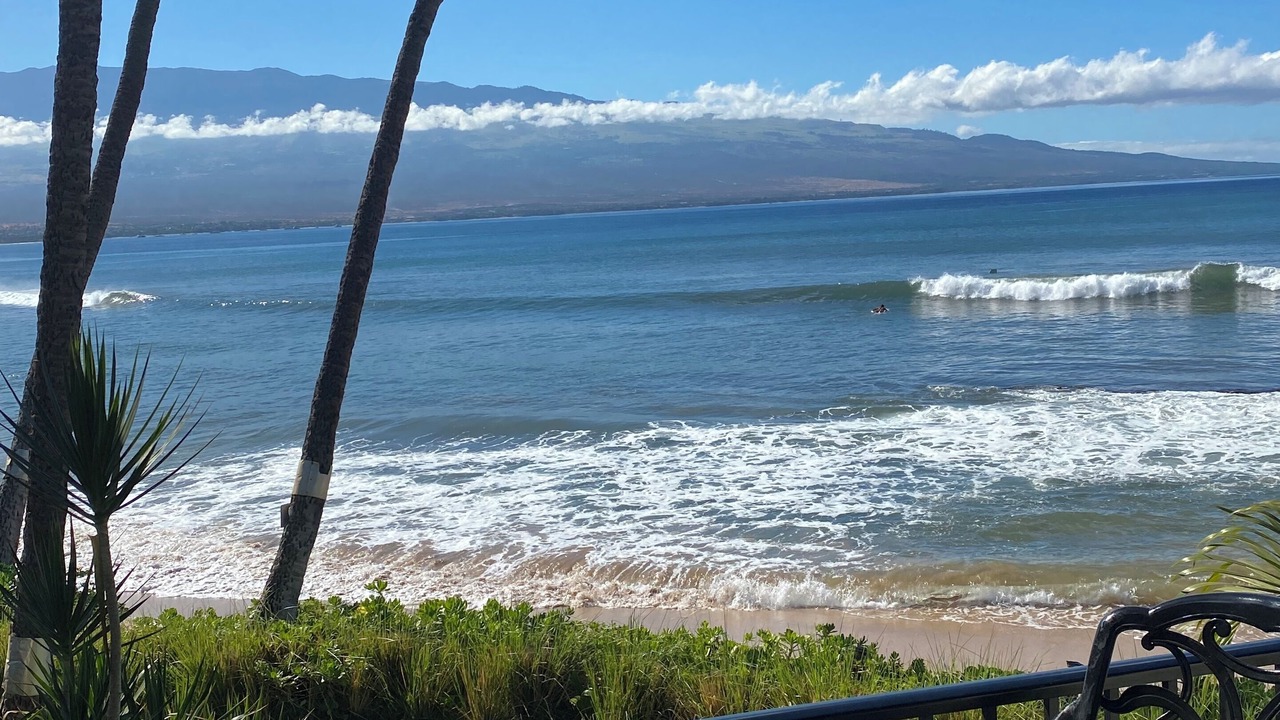 Photo of Others in Maalaea