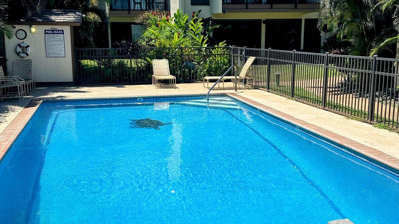Photo of Outdoor in Maalaea
