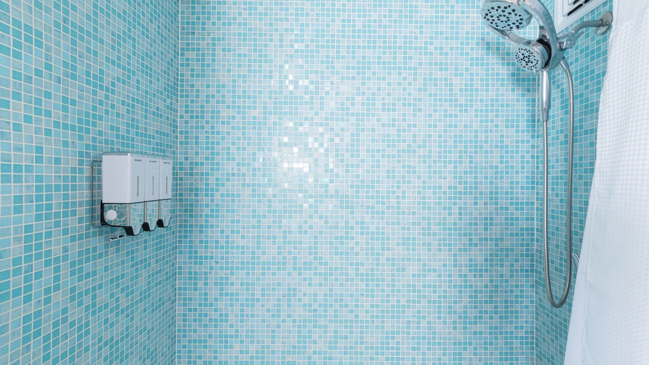 Photo of Bathroom in Kapoho