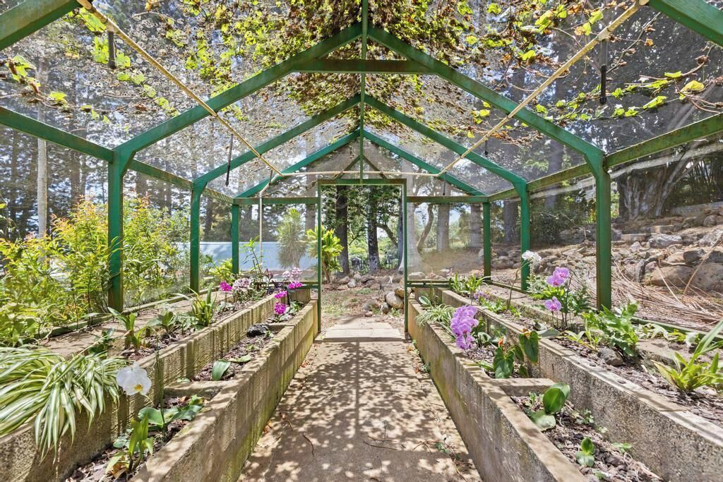 Photo of Outdoor in Hawi