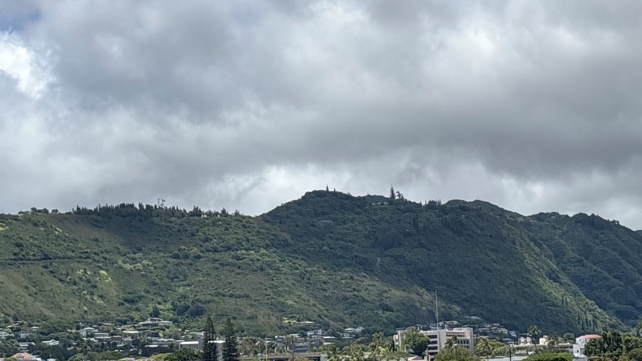 Photo of Others in McCully - Moiliili