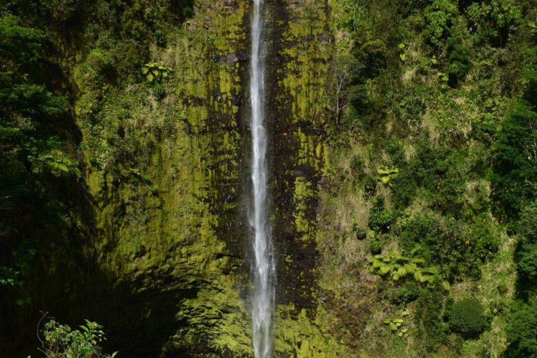Photo of Others in Hakalau